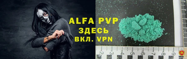 прущие грибы Богданович