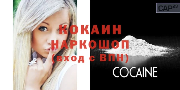 прущие грибы Богданович