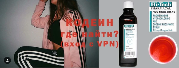 прущие грибы Богданович