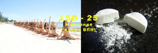 прущие грибы Богданович