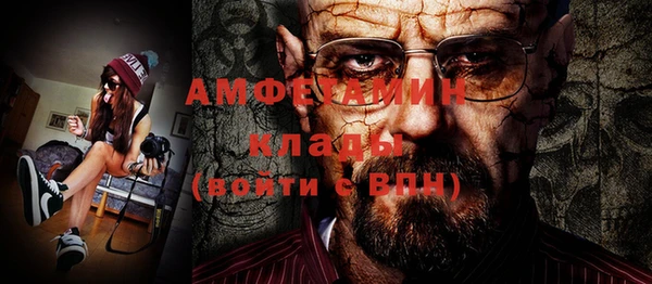 прущие грибы Богданович