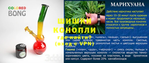 прущие грибы Богданович