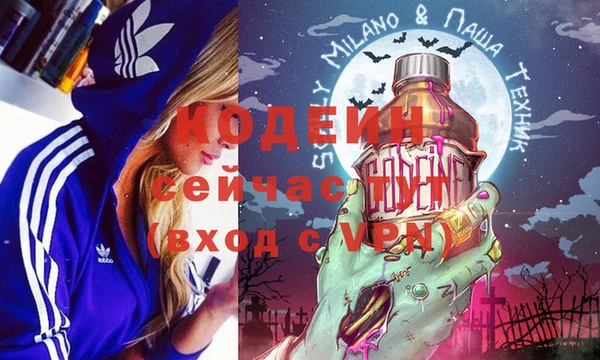 прущие грибы Богданович