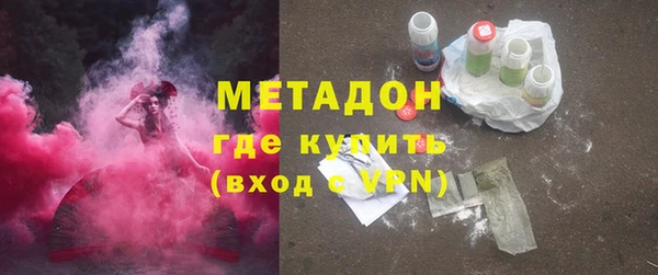 прущие грибы Богданович
